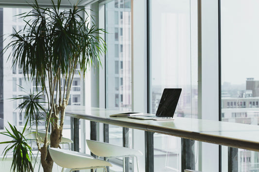 Advantages of Managed Hosting for Websites