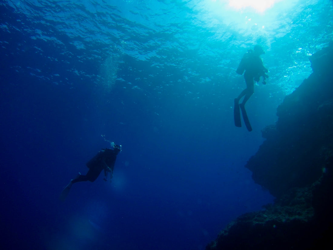 man in black wet suit under water