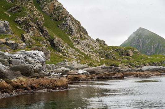 a rocky shore with a body of water and mountains in the background