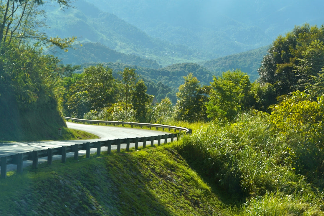 a curved road in the middle of a lush green hillside