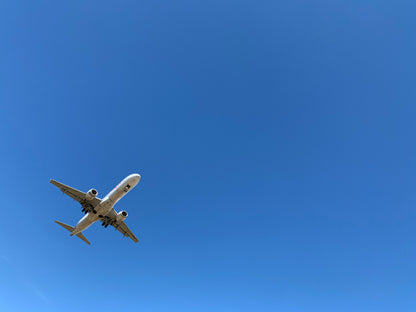 Priceline.com - The Best Deals on Hotels, Flights and Rental Cars.